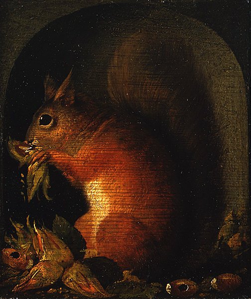木の実でニッチを狙う赤リス 作： 学校英語