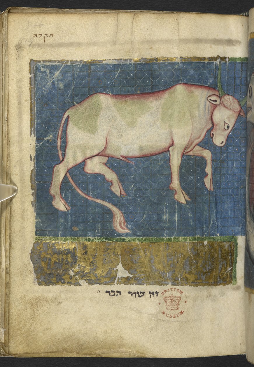 MS 11639 f.519t を追加 聖書やその他のテキストのミセルからの雄牛 (「北フランスのミセル」または以前の「大英博物館のミセル」y 作： 学校フランス語