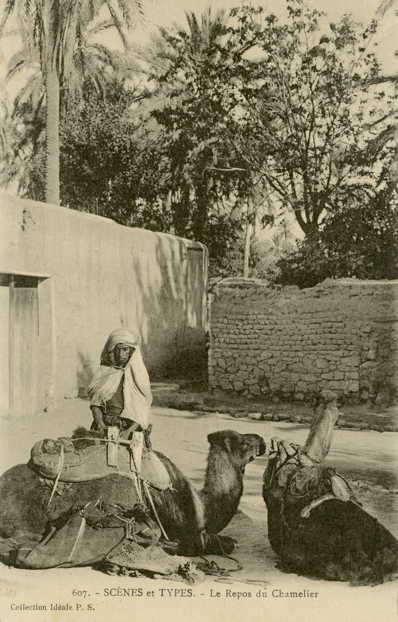 Le Repos du Chamelier, c.1890-1914 (モノクロ写真) 作： 学校フランス語