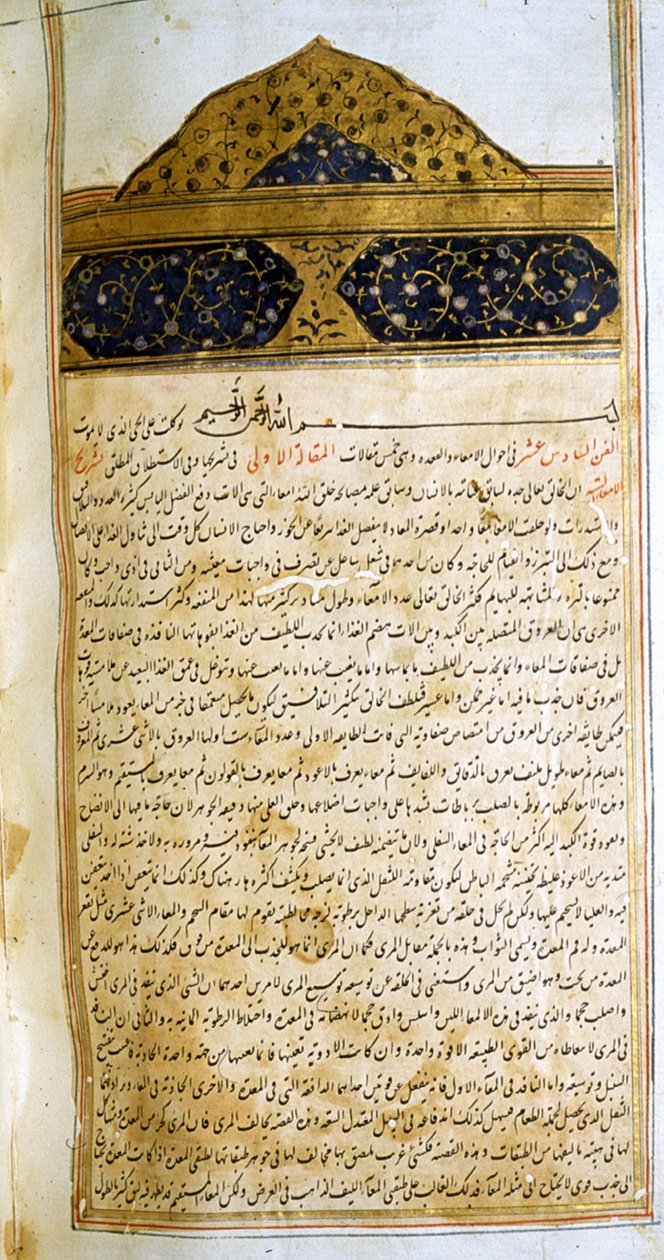 アヴィセンナ著『医学規範』（al-Qānūn fī aṭ-Ṭibb）の一ページ。 作： 学校イラン