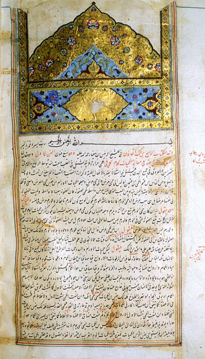 アヴィセンナ著『医学規範』（al-Qānūn fī aṭ-Ṭibb）の一ページ。 作： 学校イラン
