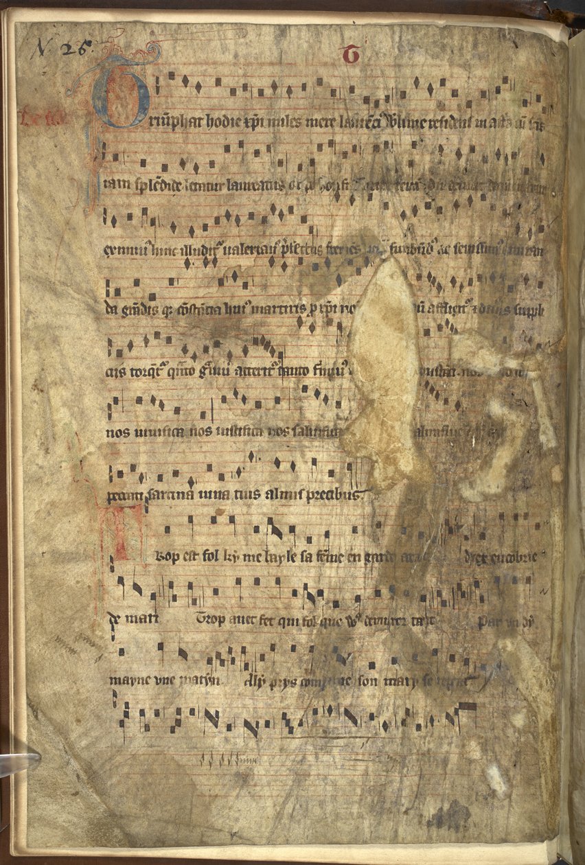 追加 MS 24198 f.1v 讃美歌入りフライリーフ、アウグスチノ会正教会修道士の使用によるミサ典、ダブリンの聖トマス殉教者教会のための特別挿入（ヴェラム） 作： 学校アイルランド