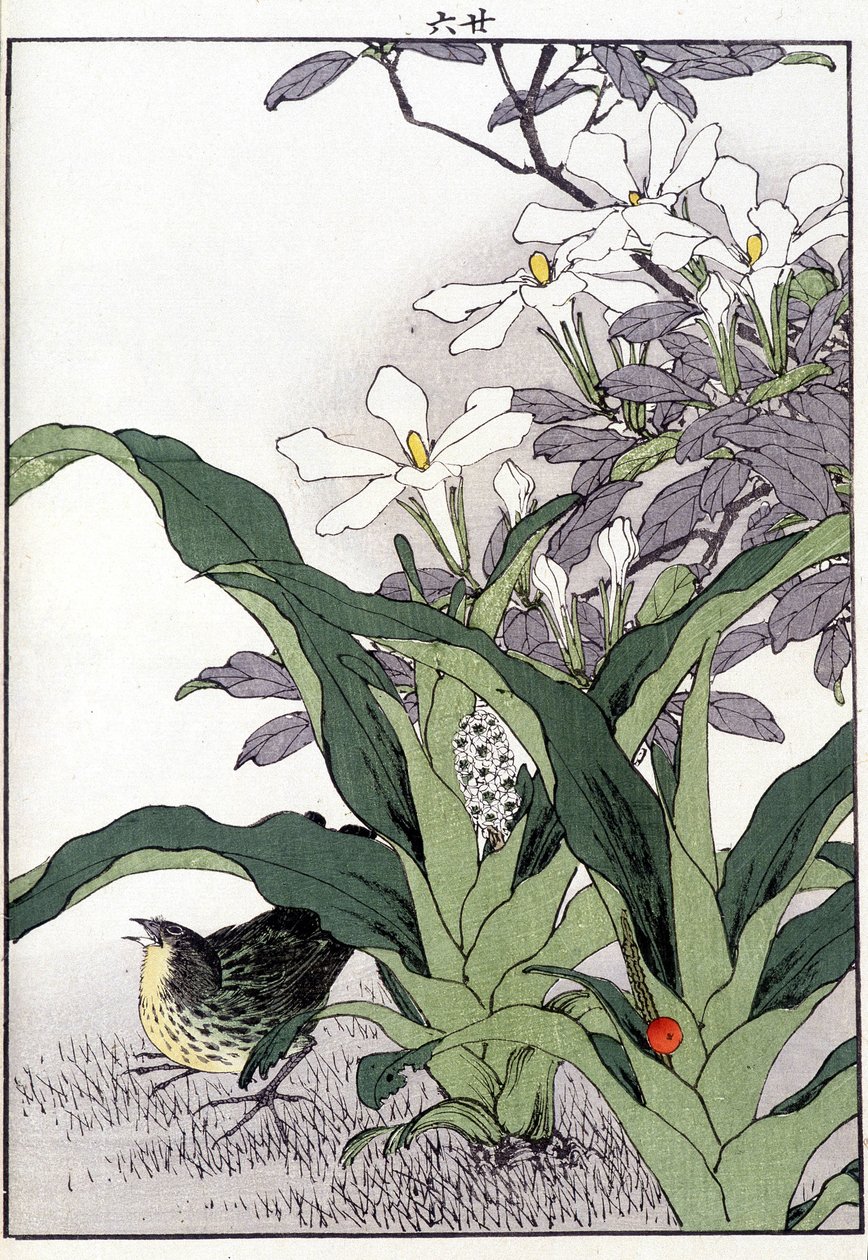 花の中の鳥 - 日本のプリント 作： 日本語学校