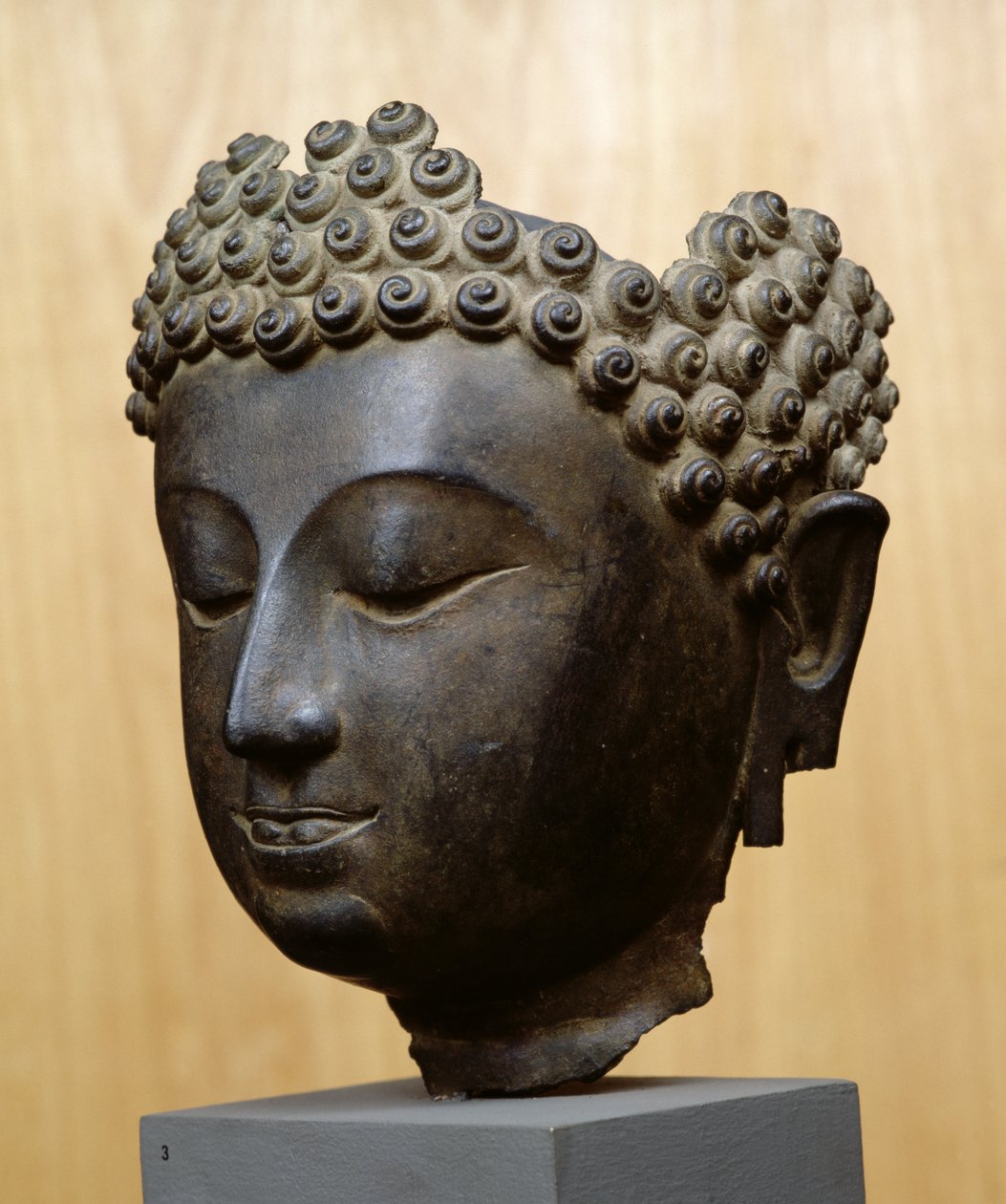 下を向いた仏陀の頭部、ラーンナー文化（ブロンズ 作： スクールタイ