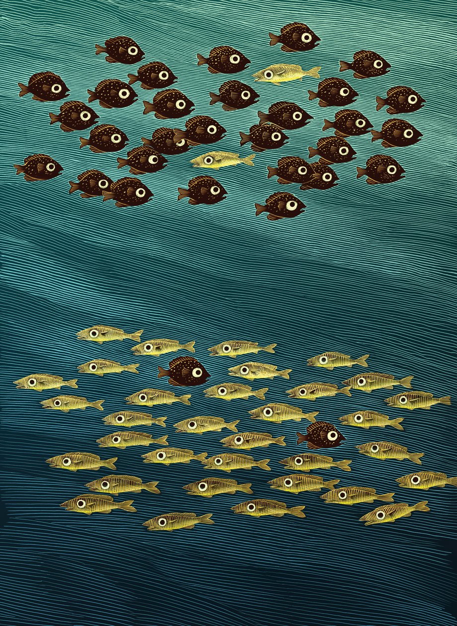 魚、2010年（スクラッチボード、デジタル彩色） 作： 