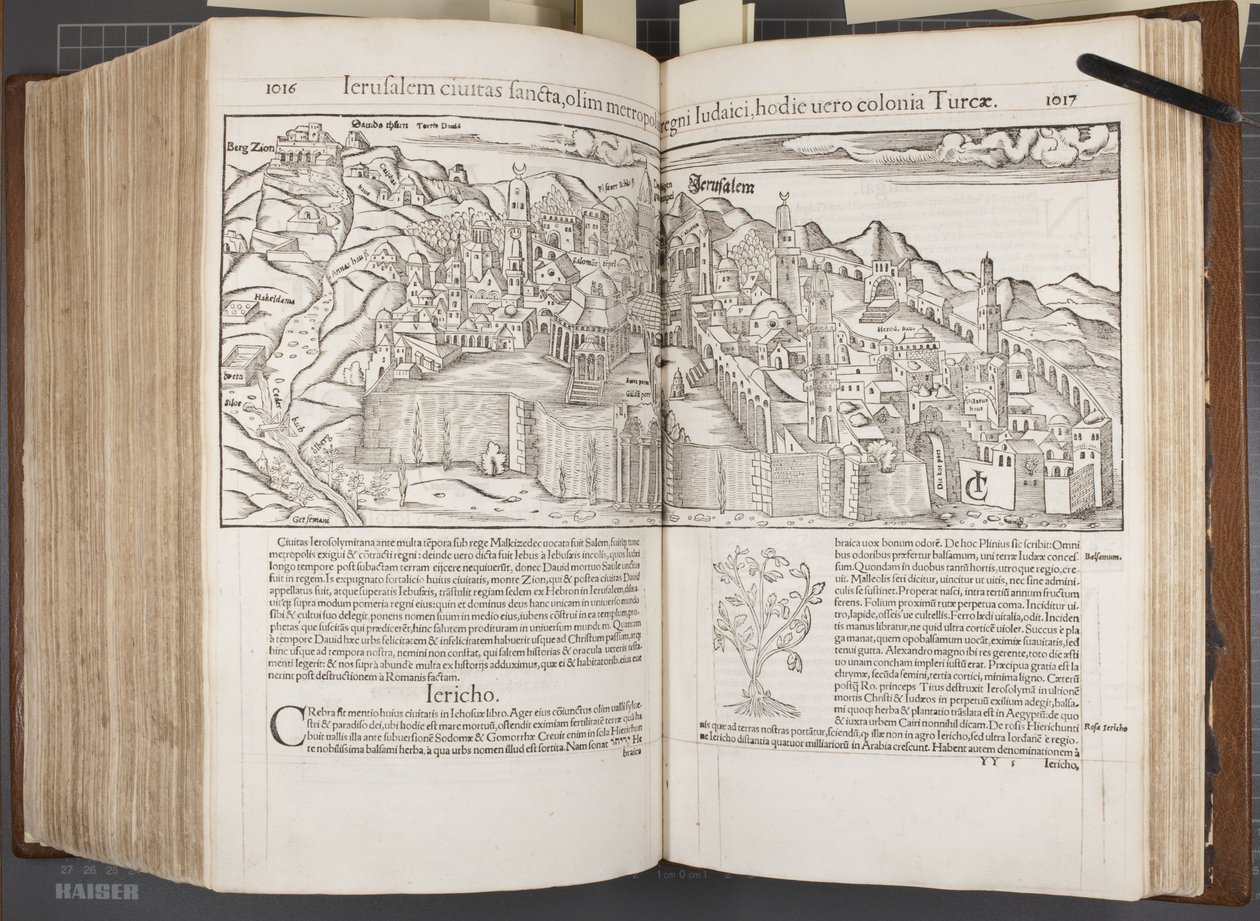 Cosmographia、Fol 1016-1017、1544 作： セバスチャン・ミュンスター