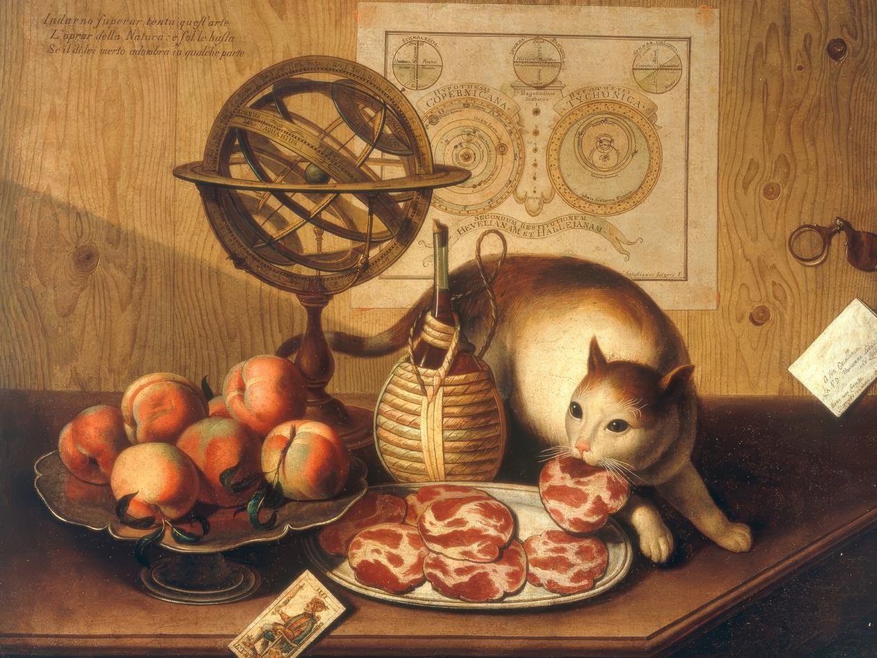 猫のいる静物 作： セバスティアーノ・ラザリ