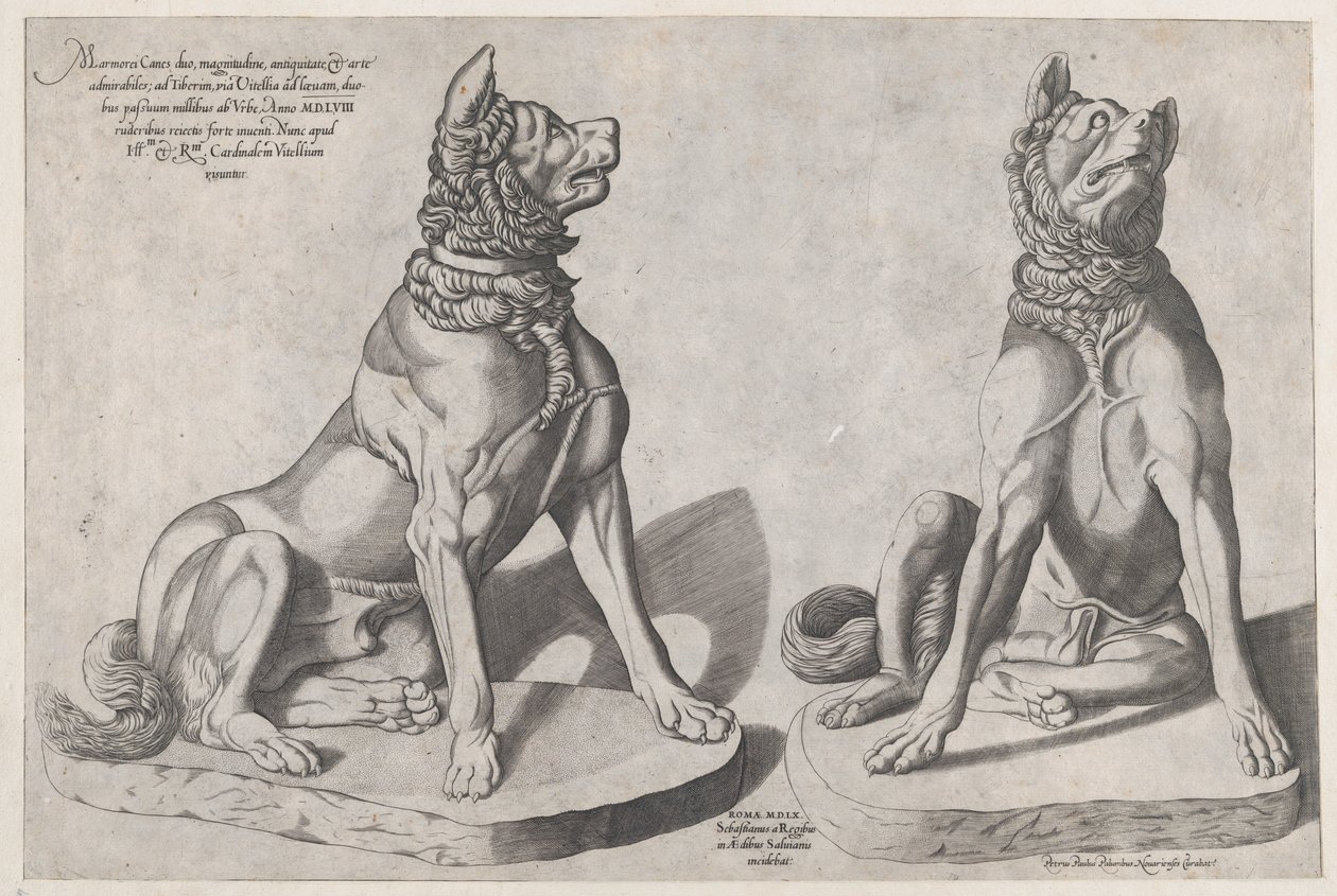 ローマの素晴らしさの鏡：2匹の犬、1558年、1558年。 作： セバスティアーノディレ