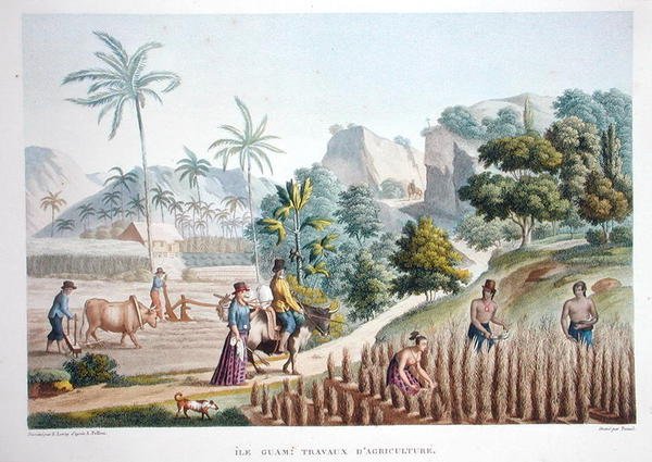 フィリピン・グアムの農場労働者（Louis Claude Desaulses de Freycinet（1779-1842）の「Voyage Autour du Monde（1817-20）」から、Pomelが彫刻し、1822-24年に出版されたカラーリトグラフ。） 作： セバスチャン（d.1832）（後）リロイ