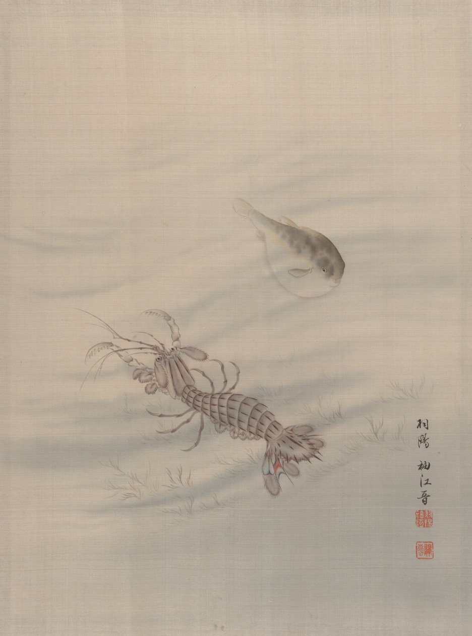 ザリガニを示す海底、カリフォルニア州。 1890-92。 作： 関秀子