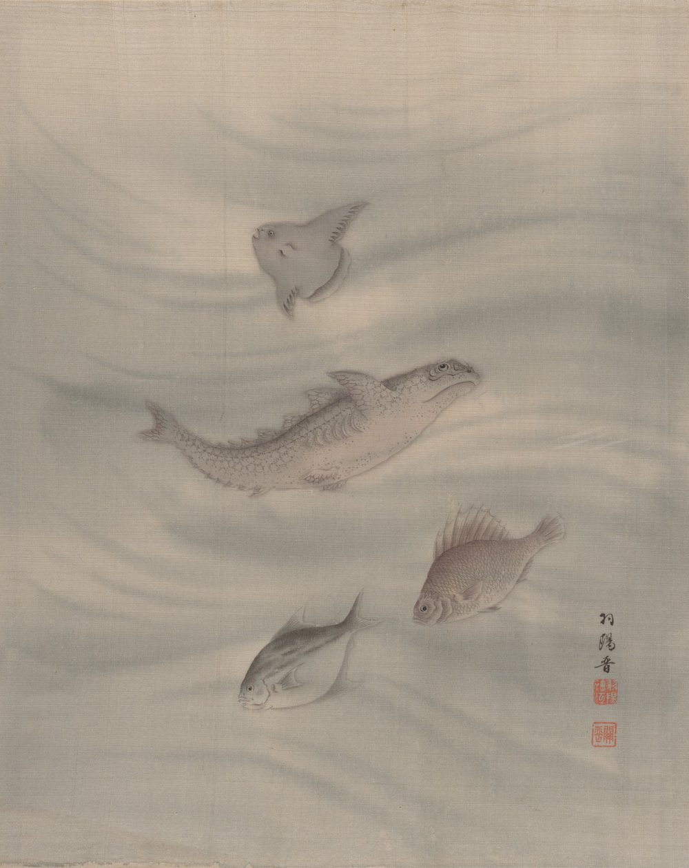 魚、カリフォルニア州。 1890-92。 作： 関秀子