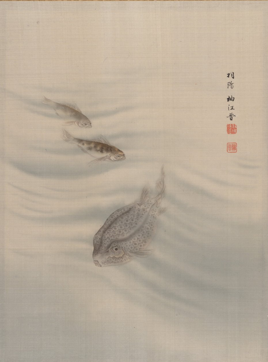 魚、カリフォルニア州。 1890-92。 作： 関秀子