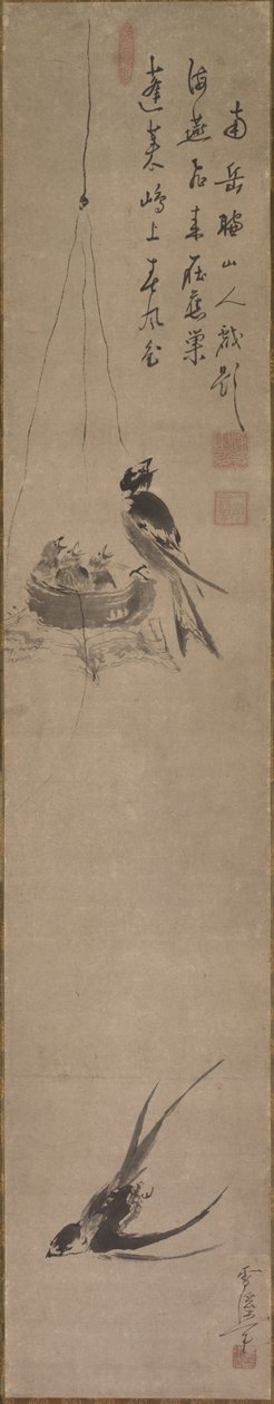 ツバメ、1600 年代後半から 1700 年代前半。 作： 山口雪渓