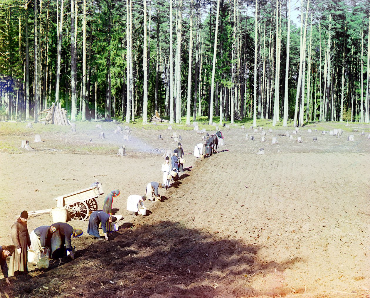 1910年にロシア帝国ヴォルガ川のゲッセマネ修道院近くにジャガイモを植えた修道士たち 作： セルゲイ・プロクディン・ゴルスキー