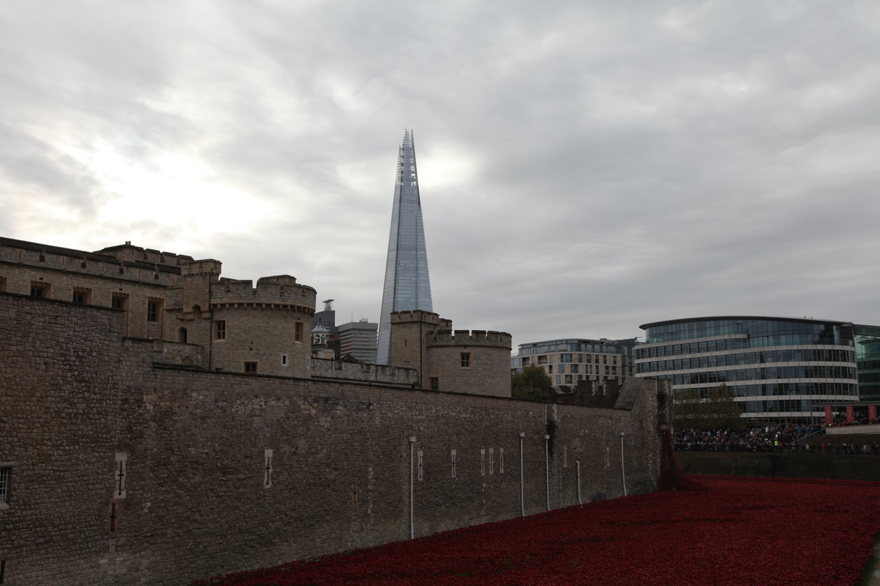 Blood Swept Lands and Seas of Red、ロンドン塔、2014年。 作： シェルドン・マーシャル