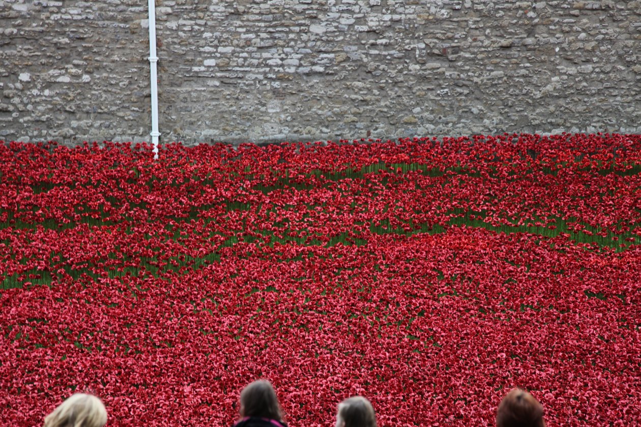 Blood Swept Lands and Seas of Red、ロンドン塔、2014年。 作： シェルドン・マーシャル