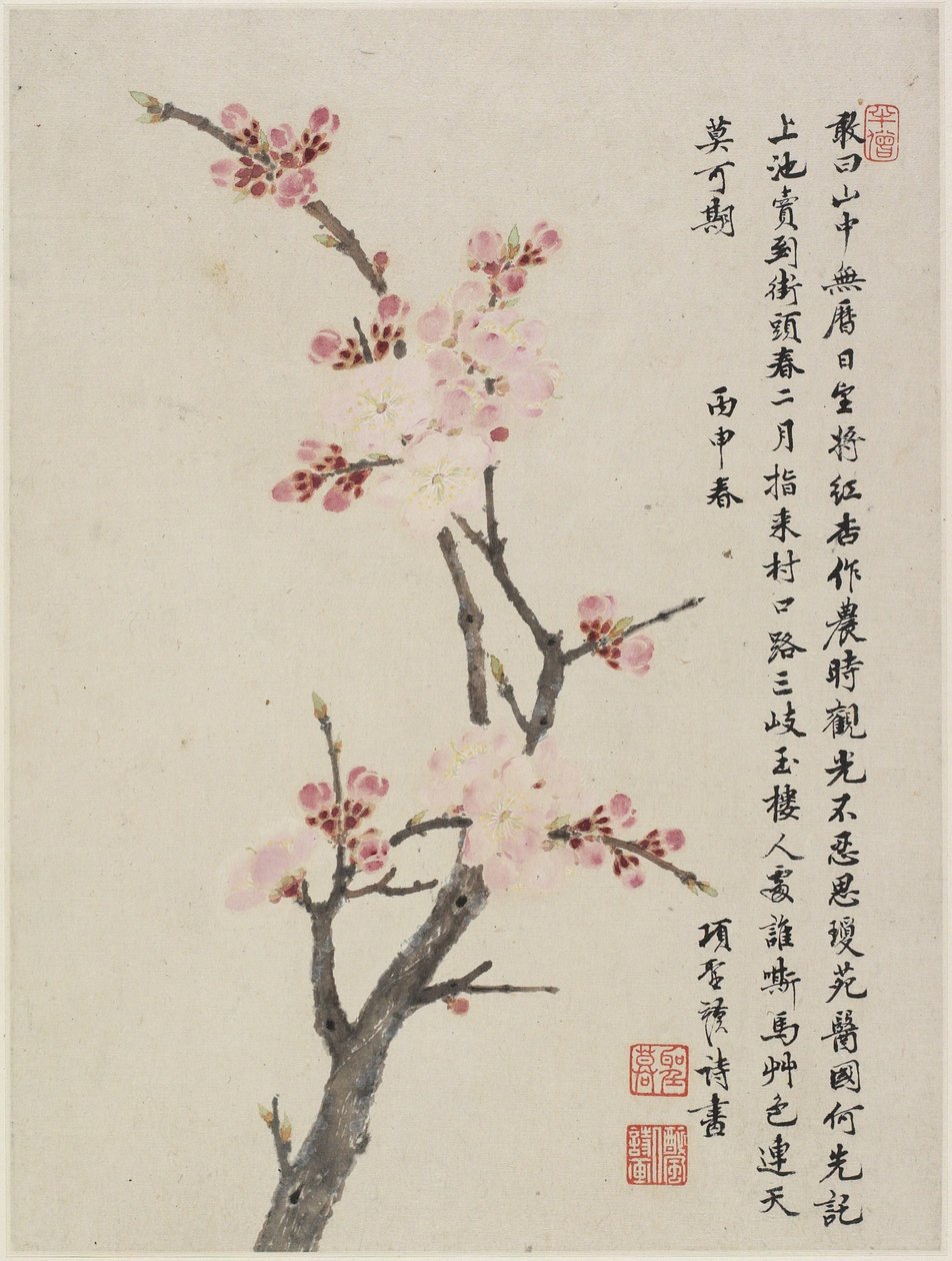 アルバム「10枚の葉」、1656年（紙にインクと色） 作： シェンモ・シャン