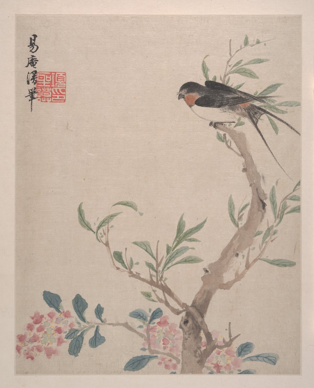 風景、花と鳥、1639年（8枚から成るアルバム、紙にインクと彩色） 作： シェンモ・シャン