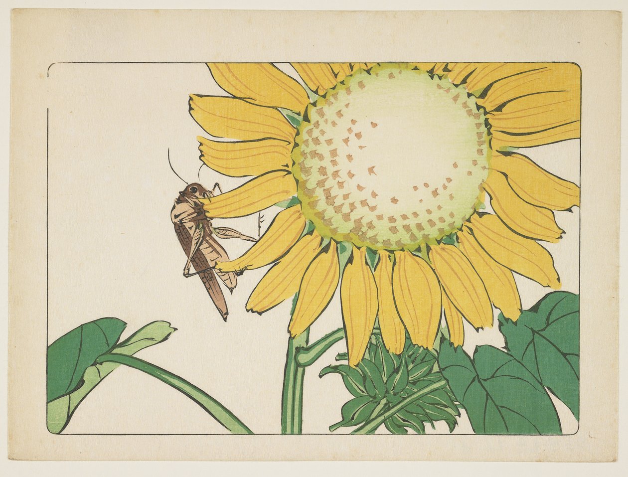 （バッタとヒマワリ）、c。 1877 作： 柴田絶心