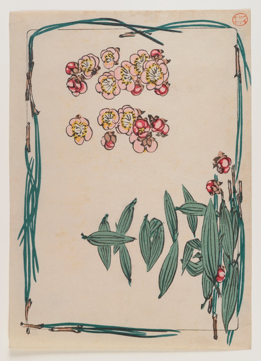 倉部花シリーズの松の葉の縁の桜、1880年頃（版木カラープリント） 作： 柴田絶心