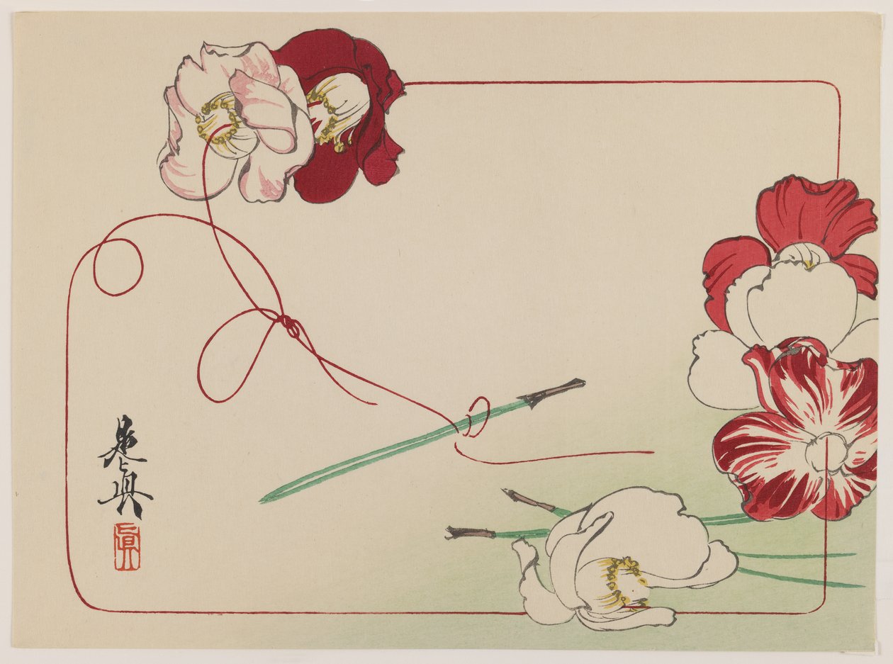 ストリングポピー、シリーズ「花の比較」c.1875-90（紙にカラー木版印刷） 作： 柴田絶心