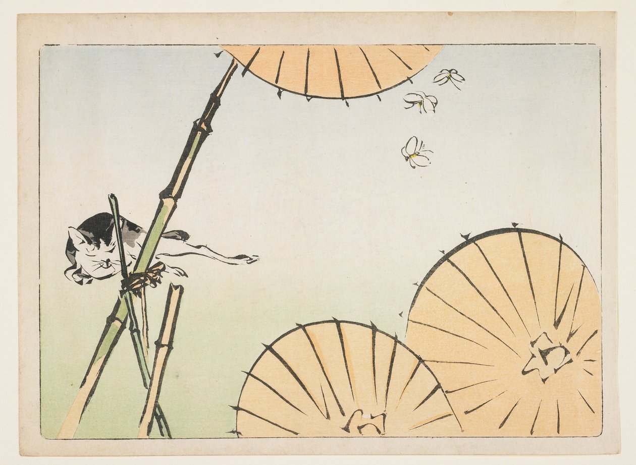 竹、傘、猫と蝶 作： 柴田絶心