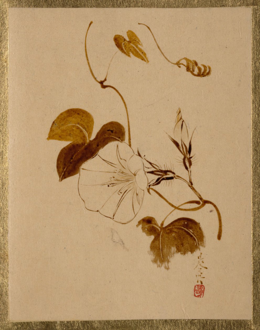 朝顔 作： 柴田絶心