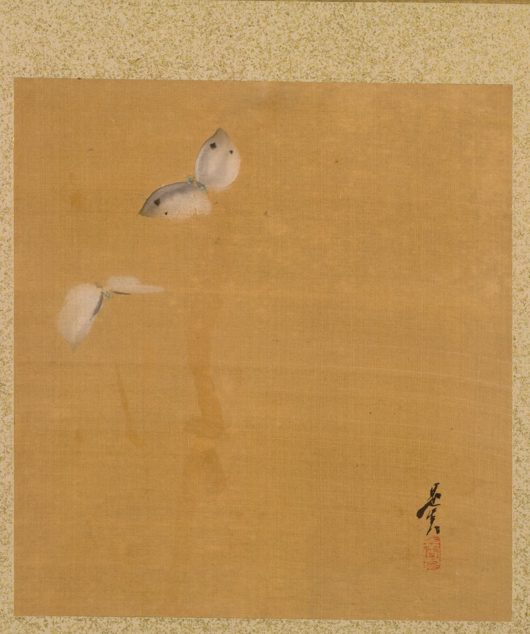 ゼシン ゼシン 画帖 蛾 作： 柴田絶心