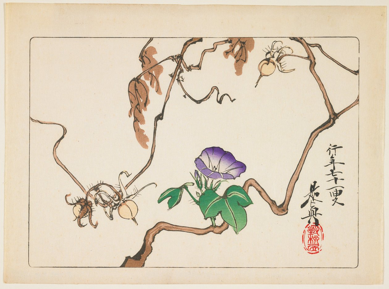 朝顔の蔓と種 作： 柴田絶心