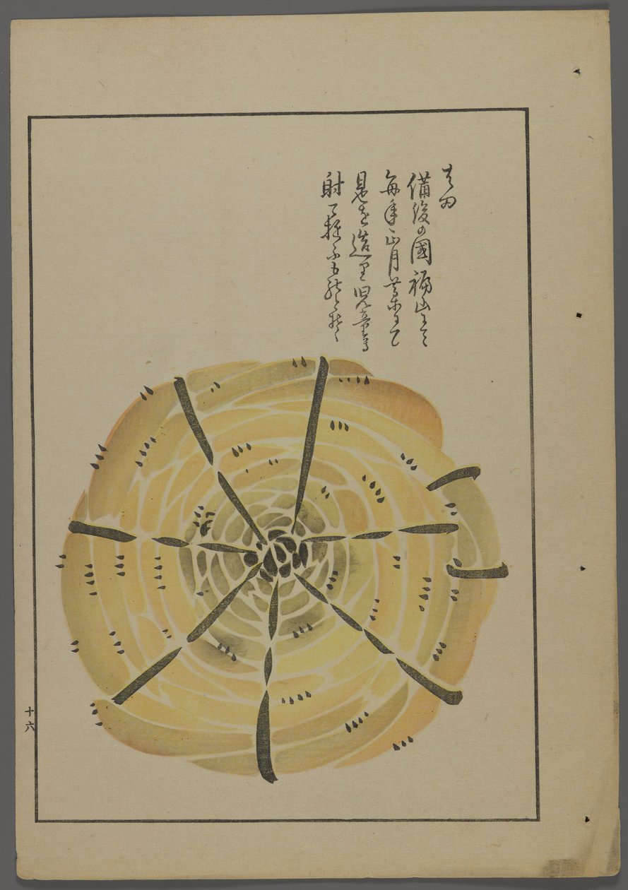 日本のおもちゃ、清水清風の海の友（A Childs Friends）、1891-1923年。ロープ風車。 作： 清水誠風