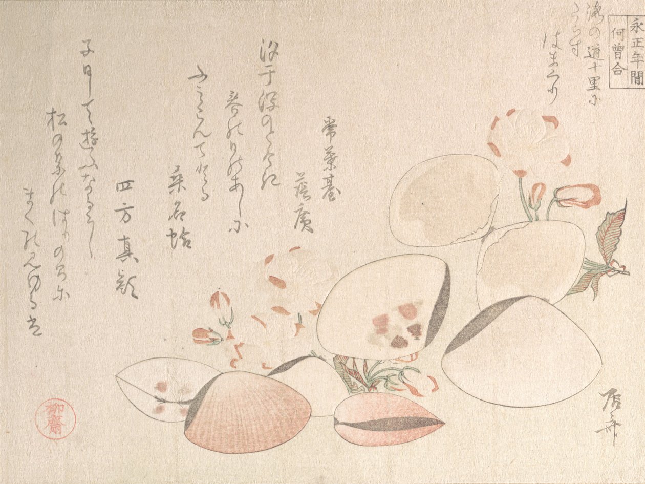 桜と貝殻, 19世紀., 19世紀. 作： 新西