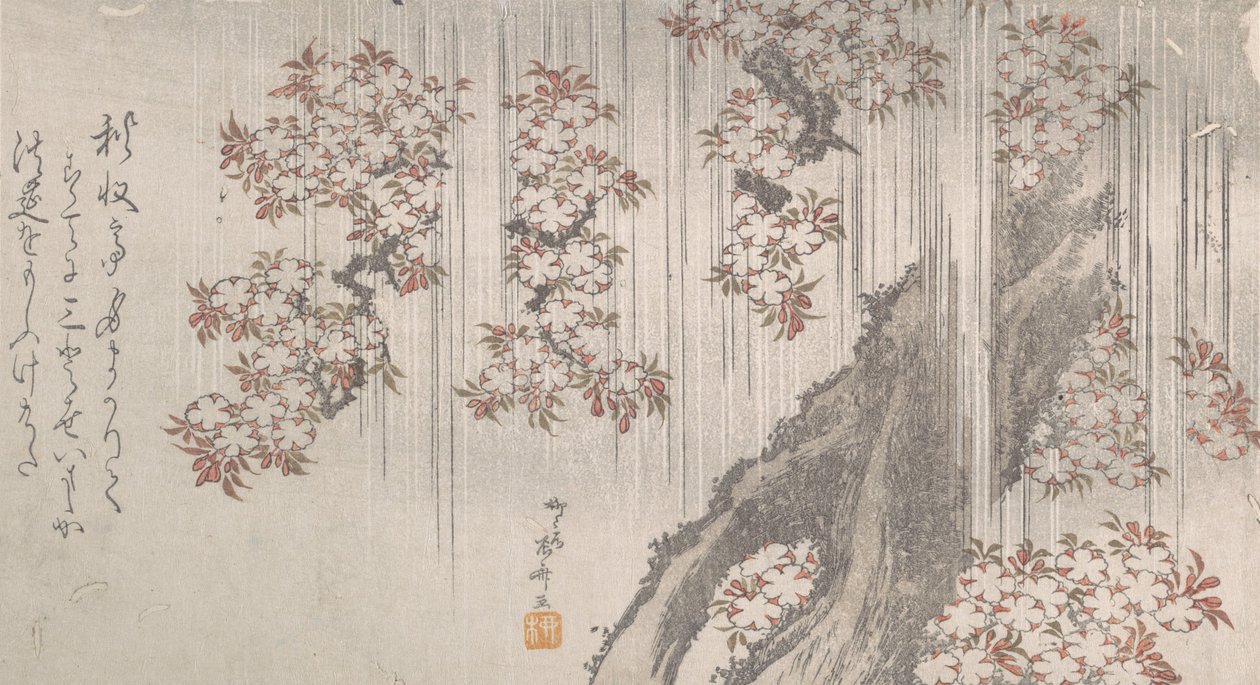 雨の中の桜, 19世紀., 19世紀. 作： 新西