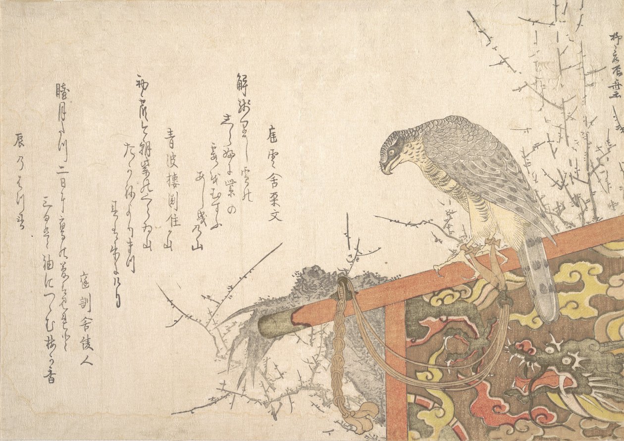 止まり木につながれた鷹。 作： 新西