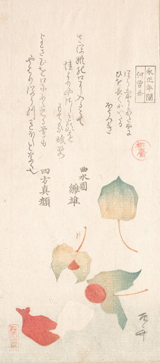 冬のサクランボ。 作： 新西
