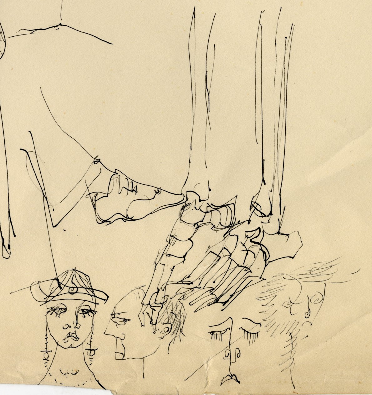 顔と足の骨、1953年。 作： シャーリー・マーカム