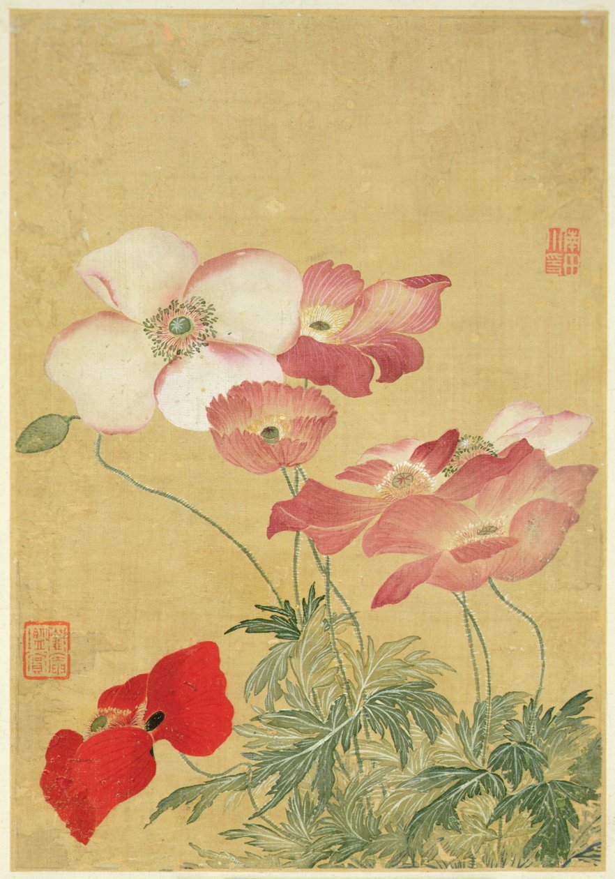 花の絵のアルバムからの画像（水彩） 作： シャウティング・ユン