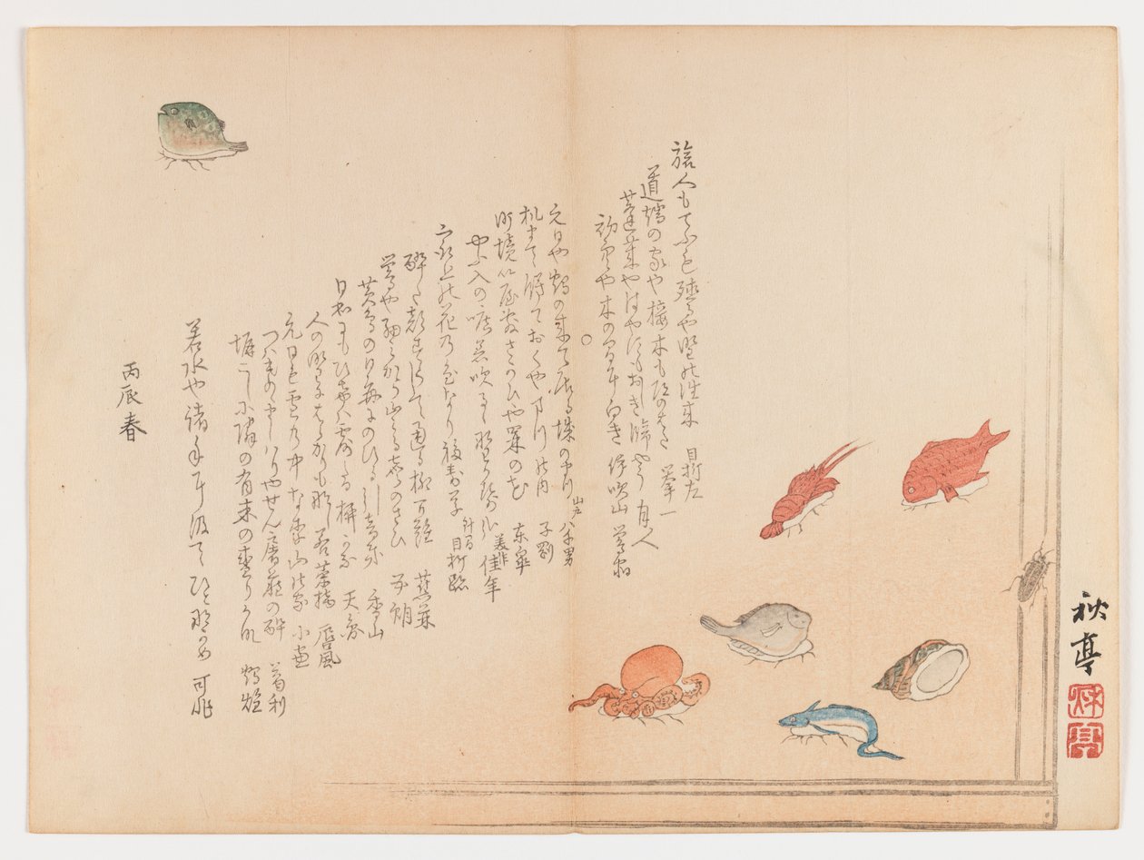 さまざまな魚、1855年春（木版画、中判横江形式） 作： 田中修定