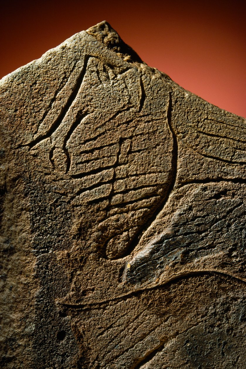先史時代の石灰岩から発見されたエレガントな横顔の彫刻。 作： シセ・ブリンベルグ