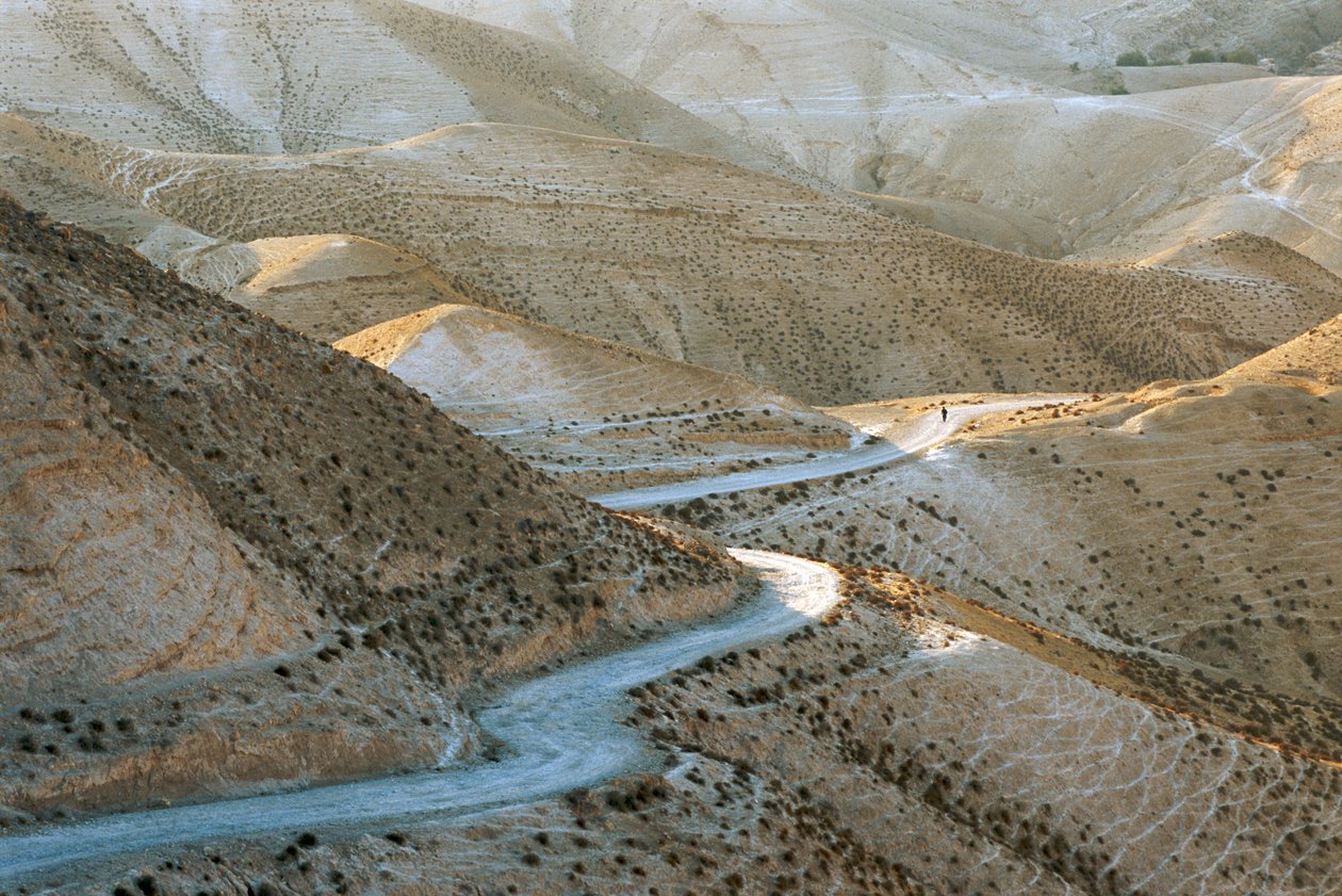イスラエル、ユダヤ：2022年、エルサレムの東、ユダの丘の光景（写真） 作： シセ・ブリンベルグ
