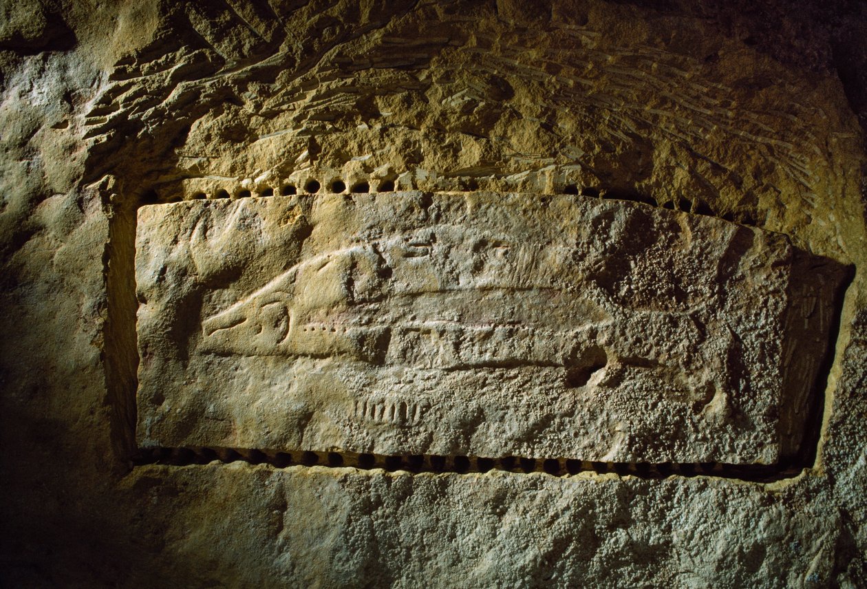 先史時代の洞窟彫刻にはサケが描かれている。 作： シセ・ブリンベルグ