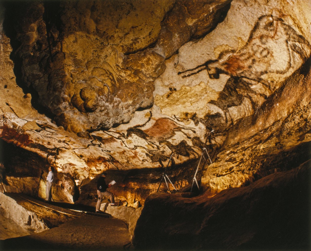 ラスコー神話の一角獣』など、1万7000年以上前に描かれたラスコー絵画。 作： シセ・ブリンベルグ