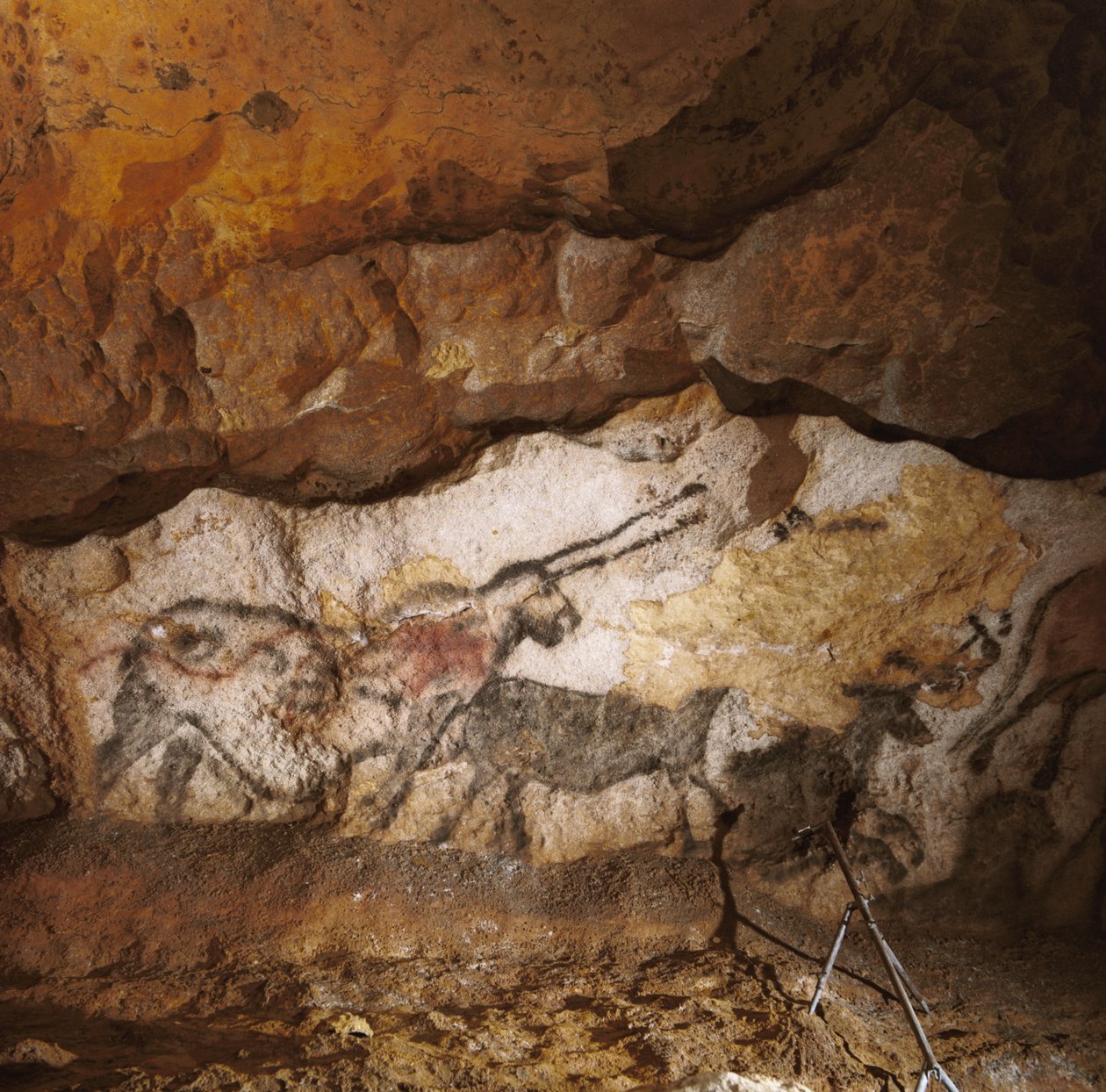1万7,000年以上前に描かれたラスコー神話の一角獣が、白い方解石に並んでいる。 作： シセ・ブリンベルグ