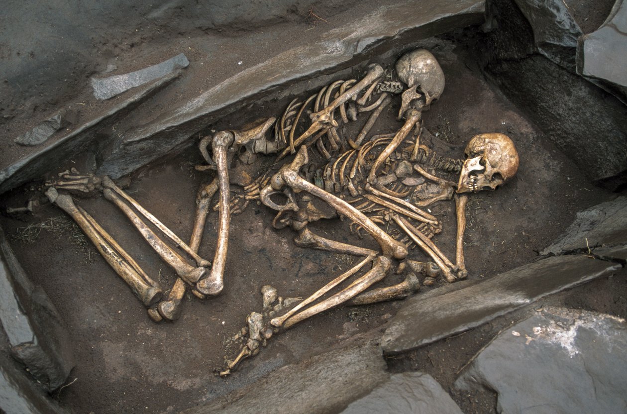 2003年、アルザンの3000年前の墓に眠るスキタイ人2人の骨（写真）。 作： シセ・ブリンベルグ