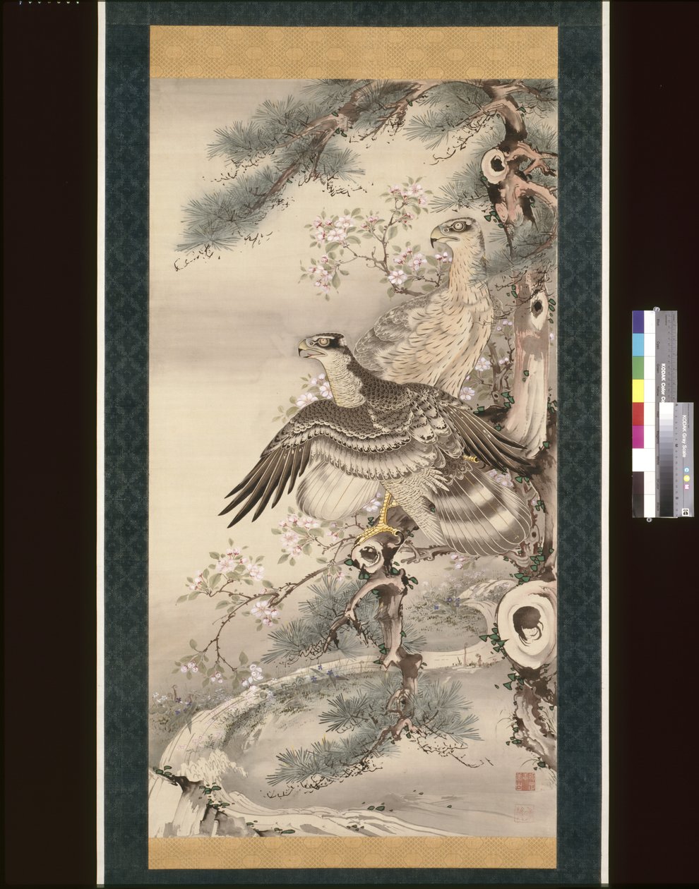 枝と花を持つタカのペア（シルクにインク、色、金） 作： So我Sho白