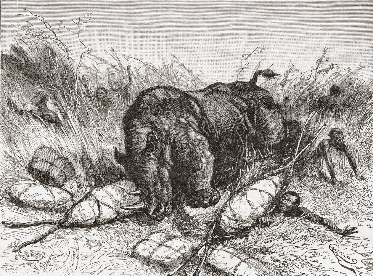 サイが「アフリカピントレスカ」からの遠征を攻撃し、1888年に公開 作： スペイン語学校