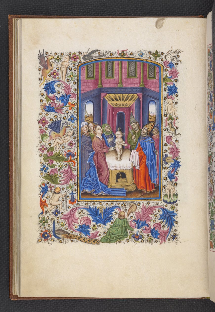 MS 50004 f.41v The Circumcision を「Book of Hours」から追加 (ベラムにインク、カラー、ゴールド) 作： スペイン語学校