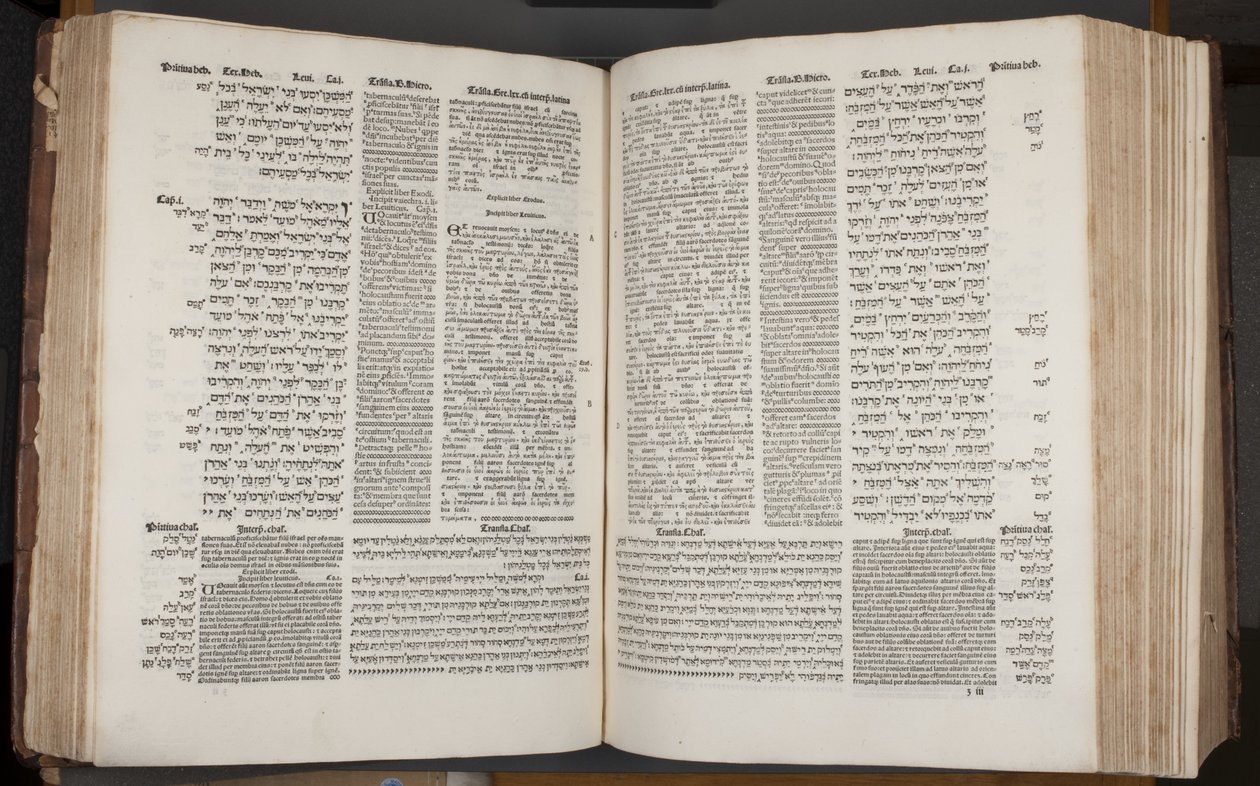 Arnao Guillen de Brocarが印刷したComplutensian Polyglot Bible(彫刻) 作： スペイン語学校