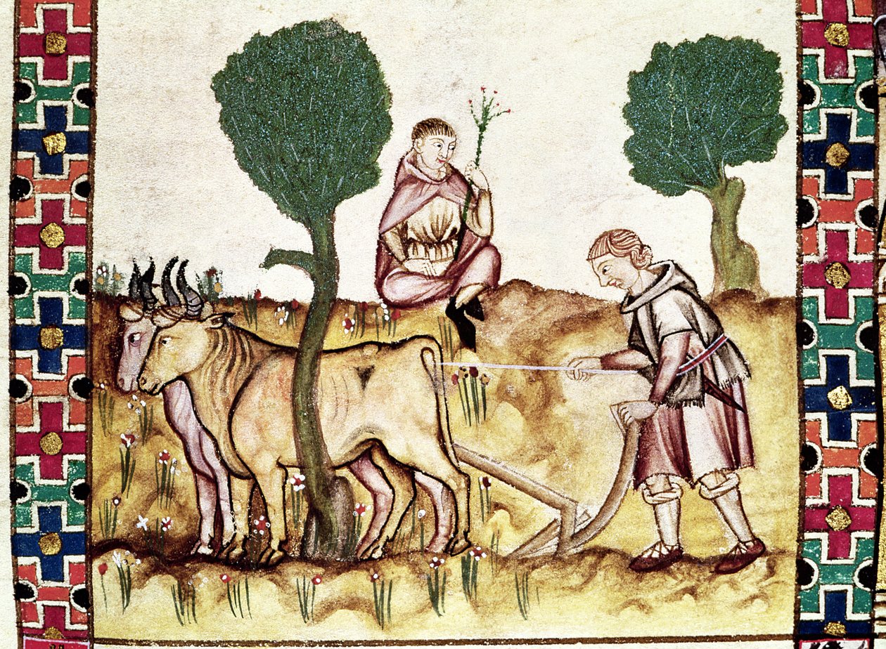 Fol.237r息子に畑を耕すように教える農夫 作： スペイン語学校