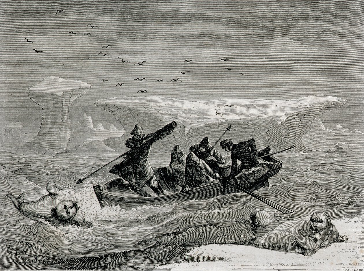 スピッツベルゲン諸島、スバールバル諸島でのモリとのセイウチの狩猟、1865年の「世界への回帰」のイラスト 作： スペイン語学校