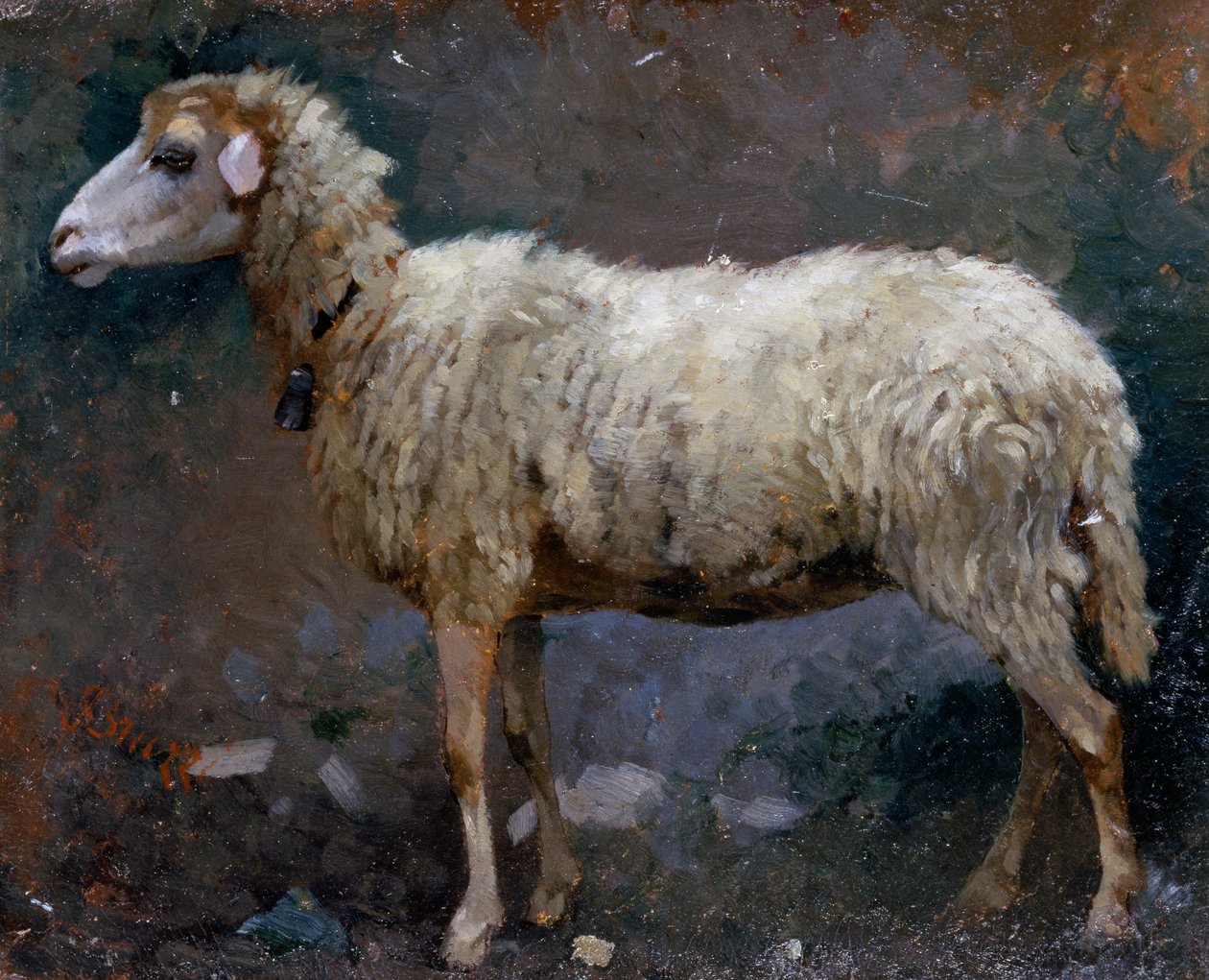 羊の横顔、ステファノ・ブルッツィ（1835-1911）による絵画、厚紙に油彩 作： ステファノ・ブルッツィ